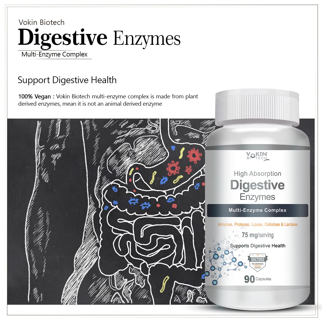 Vokin Biotech Digestive Enzymes Multi - Enzyme Complex, For Digestive Health Support, 75mg | 90 Capsules, 150gm 0.3lbs