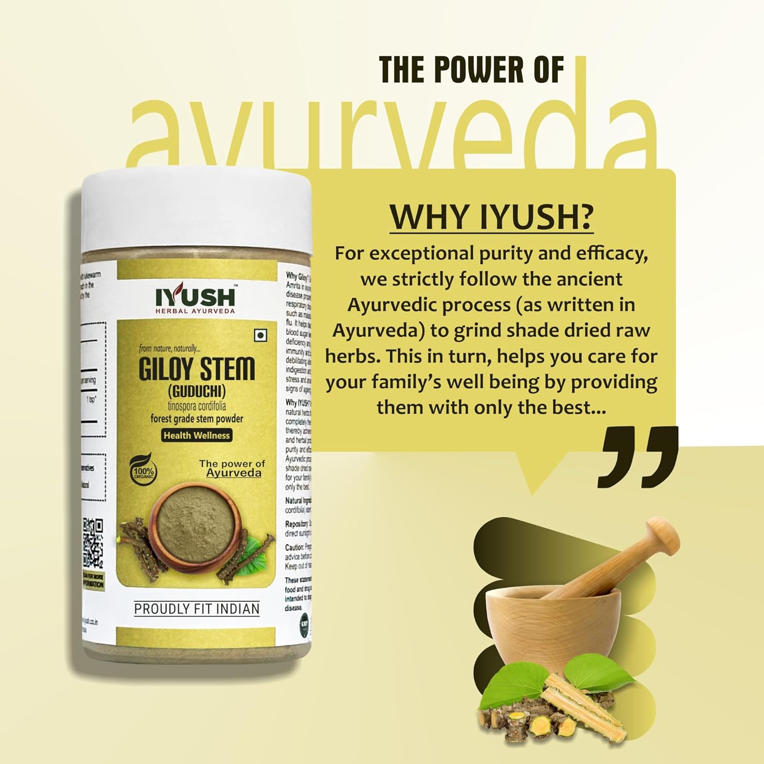 Iyush Herbal Ayurveda Giloy Stem Powder, Forest Variety Herbs, Organic, 100% Pure & Natural, No Preservatives Added | 100gm 0.2lbs Each Pack Of 2