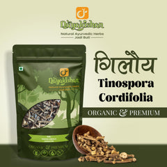 Dayakishan Dry Giloy Stem, Raw Giloi, Cleaned Geeloh, Graded Guduchi, Amrita - Amruta, Whole Tinospora Cordifolia, Giloyvatti, Immunity Booster | 100gm 0.2lbs