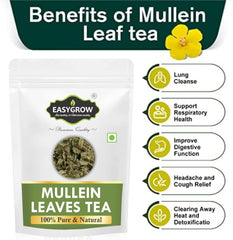 Easygrow Mullein Tea Leaves - 100gm, 3.5 Ounce, 200 Cups | Herbal Tea For Lung Detox & Immunity - 100% Pure & Natural Loose Leaves | Caffeine Free