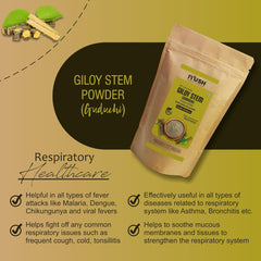 Iyush Herbal Ayurveda Giloy Powder, For Immunity Booster & Healthy Metabolism, 100% Forest Variety Herbs, 100 Organic, 100% Pure, Natural | 400gm 0.8lbs