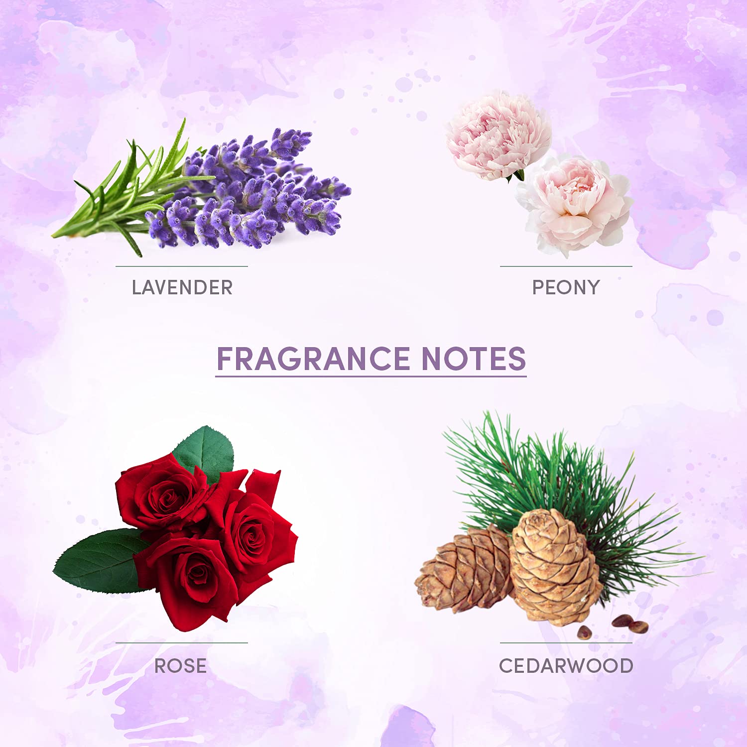 Layer'r Wottagirl French Peony Body Splash For Women | Long Lasting Fragrance 135ml Each 4.56 Fl.oz. Combo Of 2 | Ideal For Dailywear