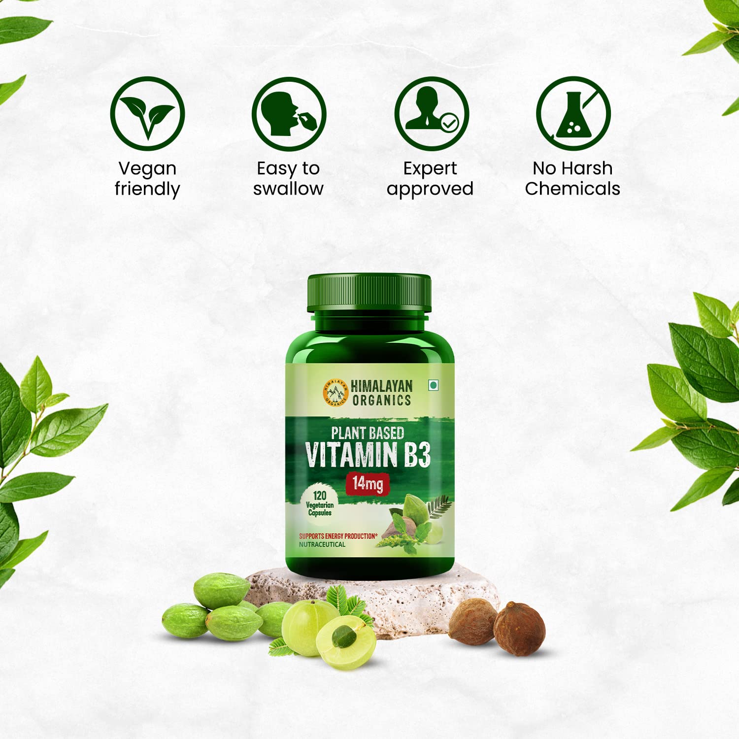 Himalayan Organics Plant - Based Vitamin B3 , Supports Healthy Skin And Heart | 120 Capsules , 200gm 0.4lbs