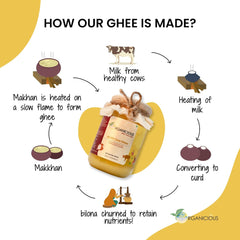 Premium A2 Gir Cow Desi Ghee By Organicious | Healthy Desi Ghee For Easy To Digest Strengthens Body | (500ml) 16.9 Ounce | Jar Pack