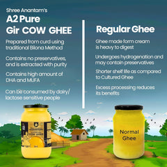 100% Natural A2 Gir Cow Desi Ghee By Shree Aanantam | Bilona Method Curd-Churned Pure A2 Desi Ghee For Bones Health | (500ml) 16.9 Ounce | Jar Pack