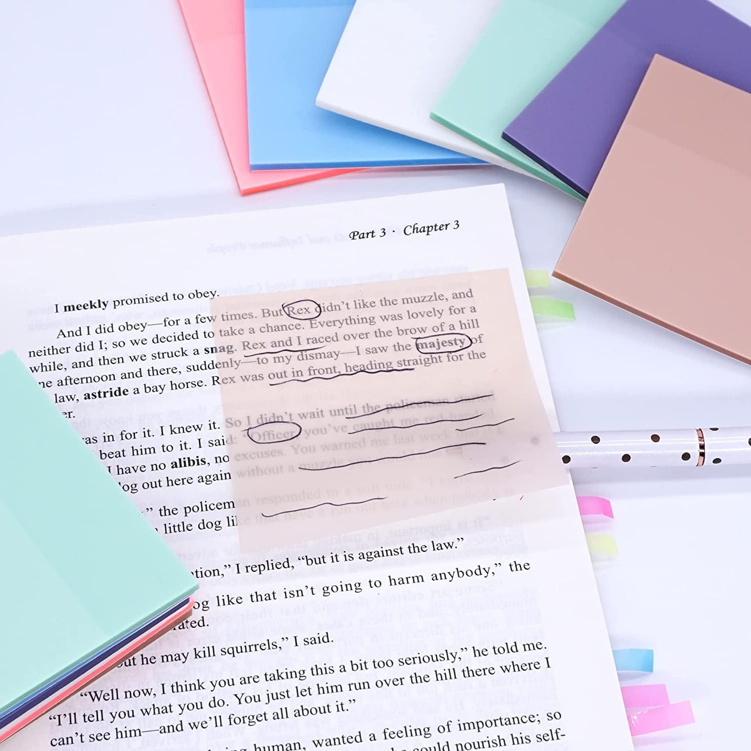 Pastel Color Highlighting Strips, Transparent Self Stick Notes & Arrow Flags - 2 Sets