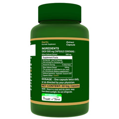 Herbo Natural Garlic Extract 500mg, Supports The Management Of Helicobacter Pylori Infections, Promoting Gastrointestinal Well - Being | 60 Veg Capsules 100gm 0.2lbs