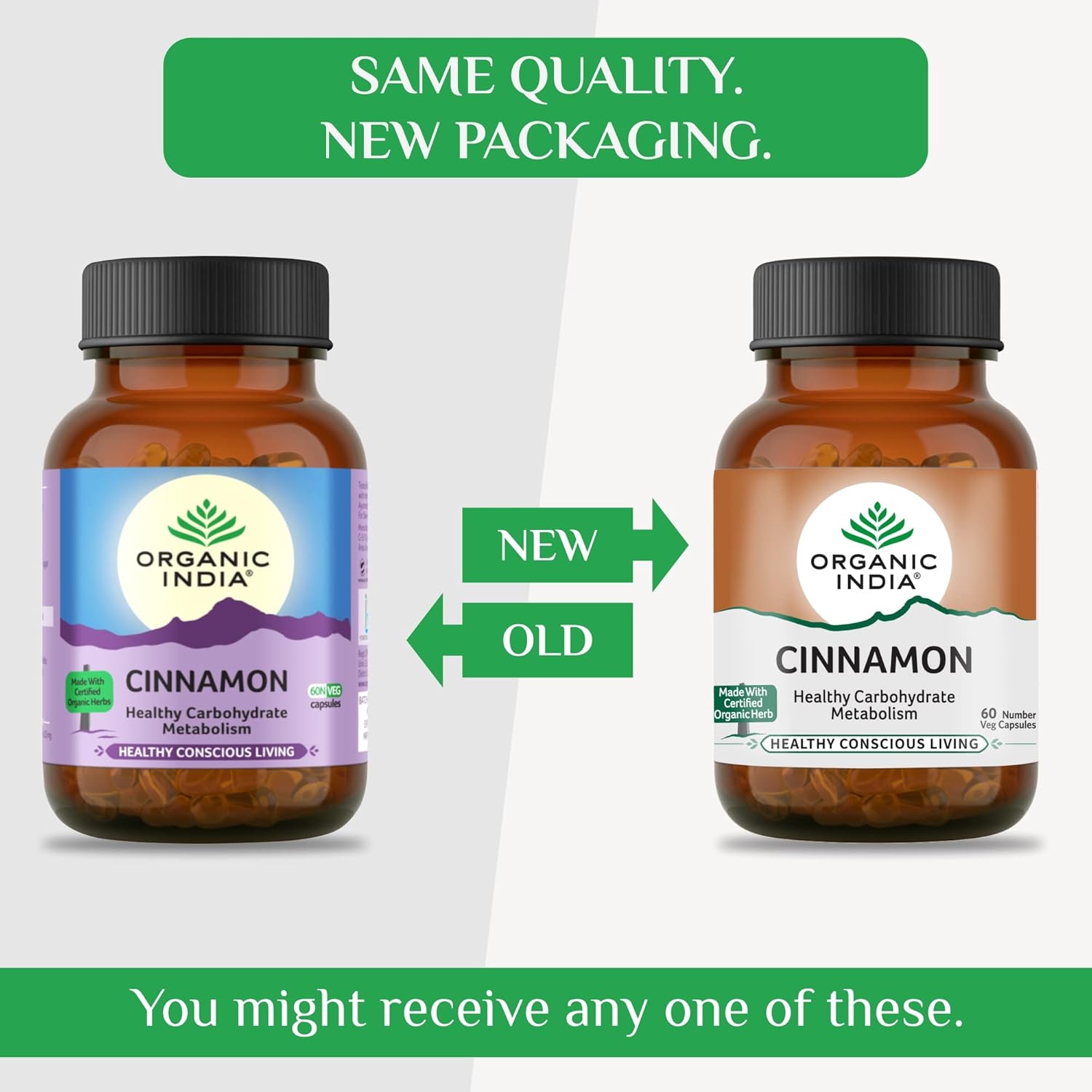 Organic India Cinnamon, Healthy Carbohydrate Metabolism And Healthy Conscious Living, Improves Appetite And Digestion | 60 Capsules 100gm 0.2lbs