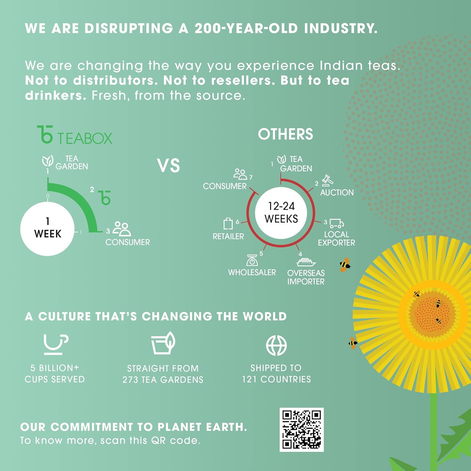 Teabox Dandelion Green Tea - 100gm, 3.5 Ounce | 100% Whole Leaf & 0% Bitterness - Green Tea From The Himalayas | Low Caffeine