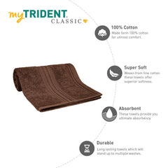 Mytrident Cotton Hand Towel 600 Gsm | For Men & Women Classic Towel 100% Cotton Hand Towel (Willow Wood)- Pack Of 2