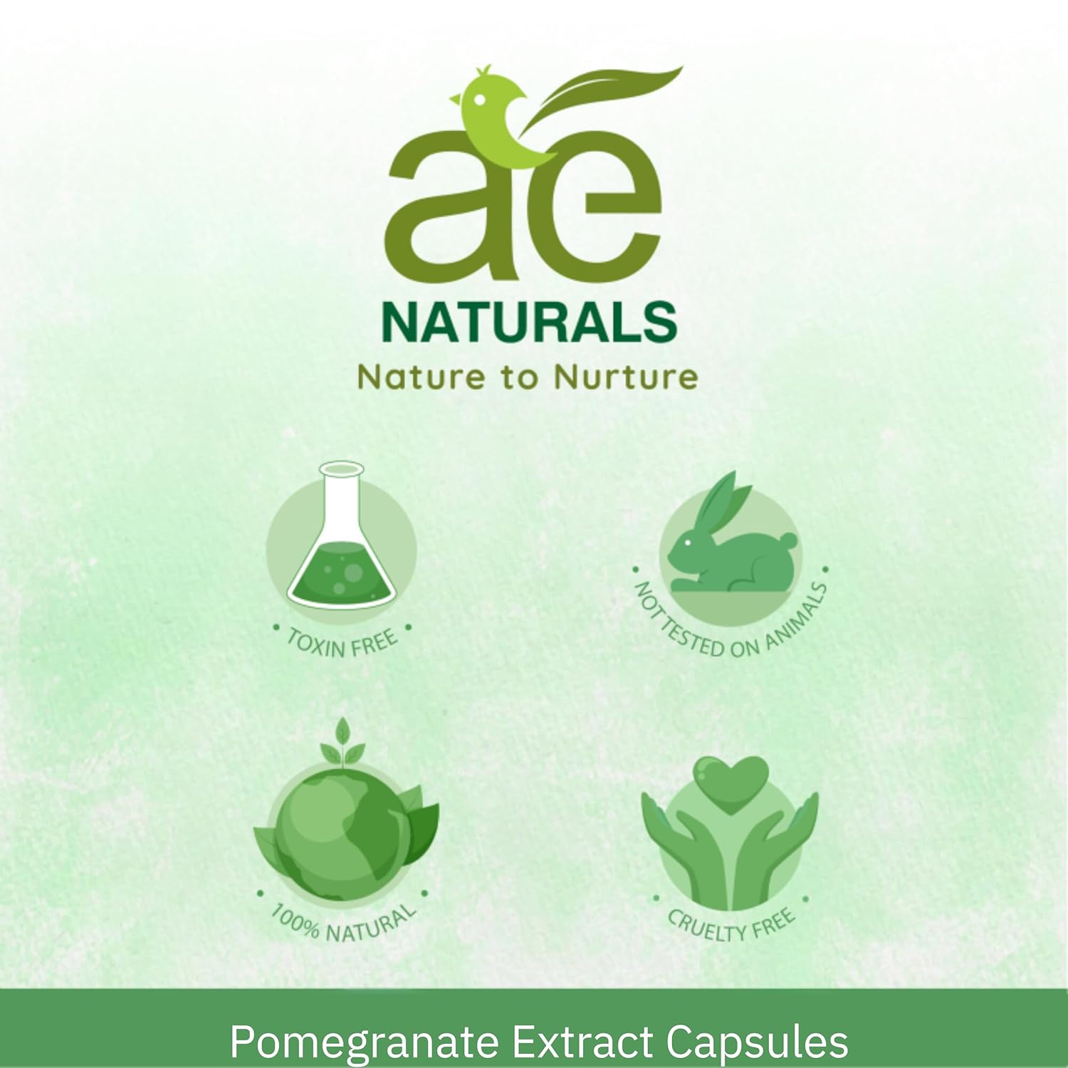 Ae Naturals Pomegranate Extract Capsules Promotes Healthy Skin, Regulates Blood Pressure, Powerful Antioxidant | 60 Capsules 100gm 0.2lbs