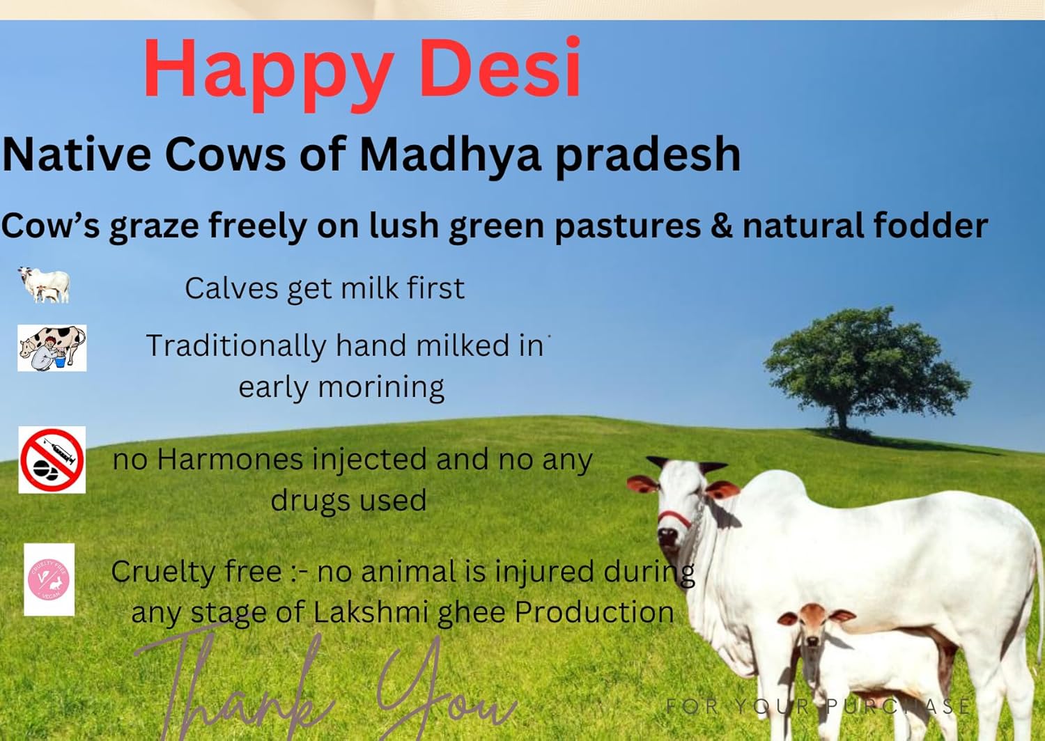 Organic Desi Cow Ghee By Lakshmi Product'S | Organic Homemade Bilona Method Grass Fed Desi Cow Ghee Good For Sweets | 400ml (200ml * 2) 13.5 Ounce | Jar Pack