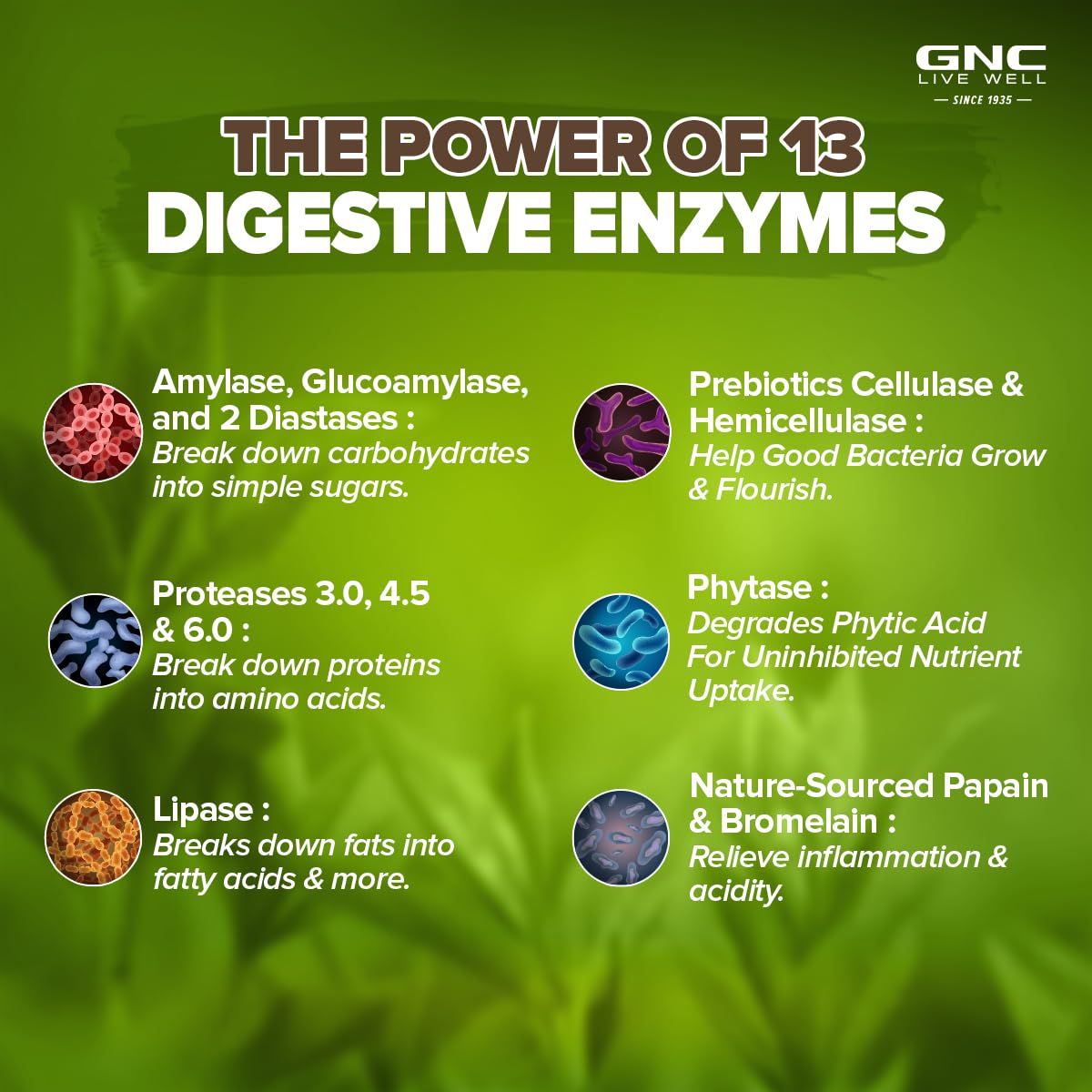 Gnc Super Digestive Enzymes Prebiotics & 11 Potent Enzymes, Reduces Bloating & Gas, Prevents Acidity & Indigestion, Supports Healthy Gut | 100 Veg Capsules, 150gm 0.3lbs