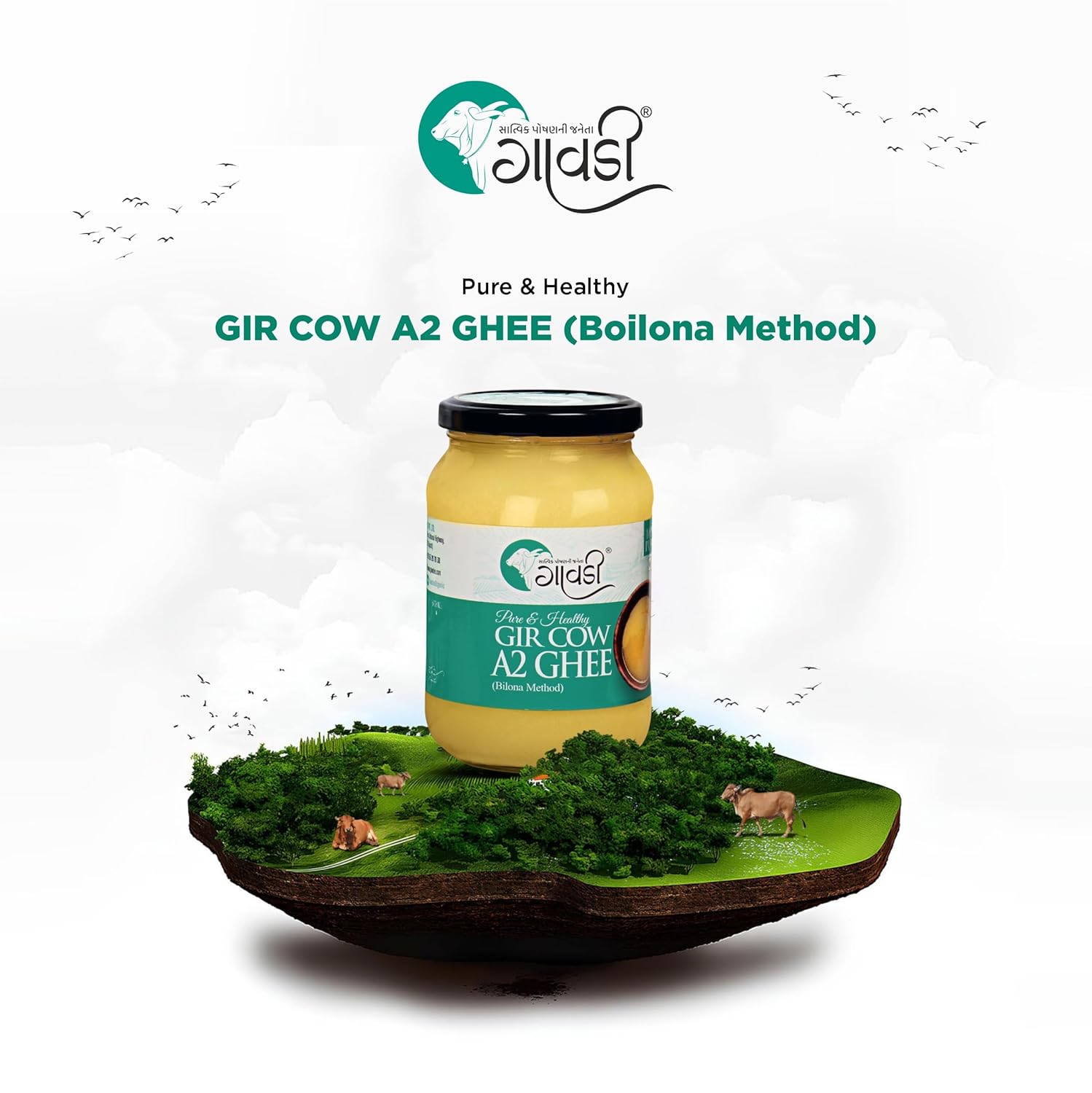 Pure Gir Cow A2 Ghee By Gawdee | Good Source Of Energy Healthy & Nutrients Desi Danedar Ghee For Diet | (500ml) 16.9 Ounce | Jar Pack