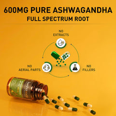 Koshaveda Ashwagandha Af-43™ 600mg Capsules, For Sound Sleep, Strength & Recovery, Promoting Stress Relief, Energy Boost | 60 Capsules 100gm 0.2lbs