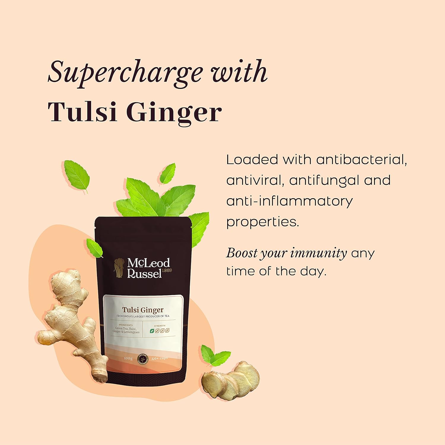 McLeod Russel 1869 Tulsi Ginger Green Tea - 100gm, 3.5 Ounce, 40+ Cups | Immunity-Booster Long Leaf Green Tea - Pure & Natural Tulsi & Ginger | Low Caffeine