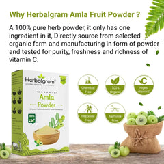 Herbalgram Organic Amla Powder Hair Growth Skin Care Scalp Treatment, 100% Natural, No Preservatives | 100gm 0.2lbs