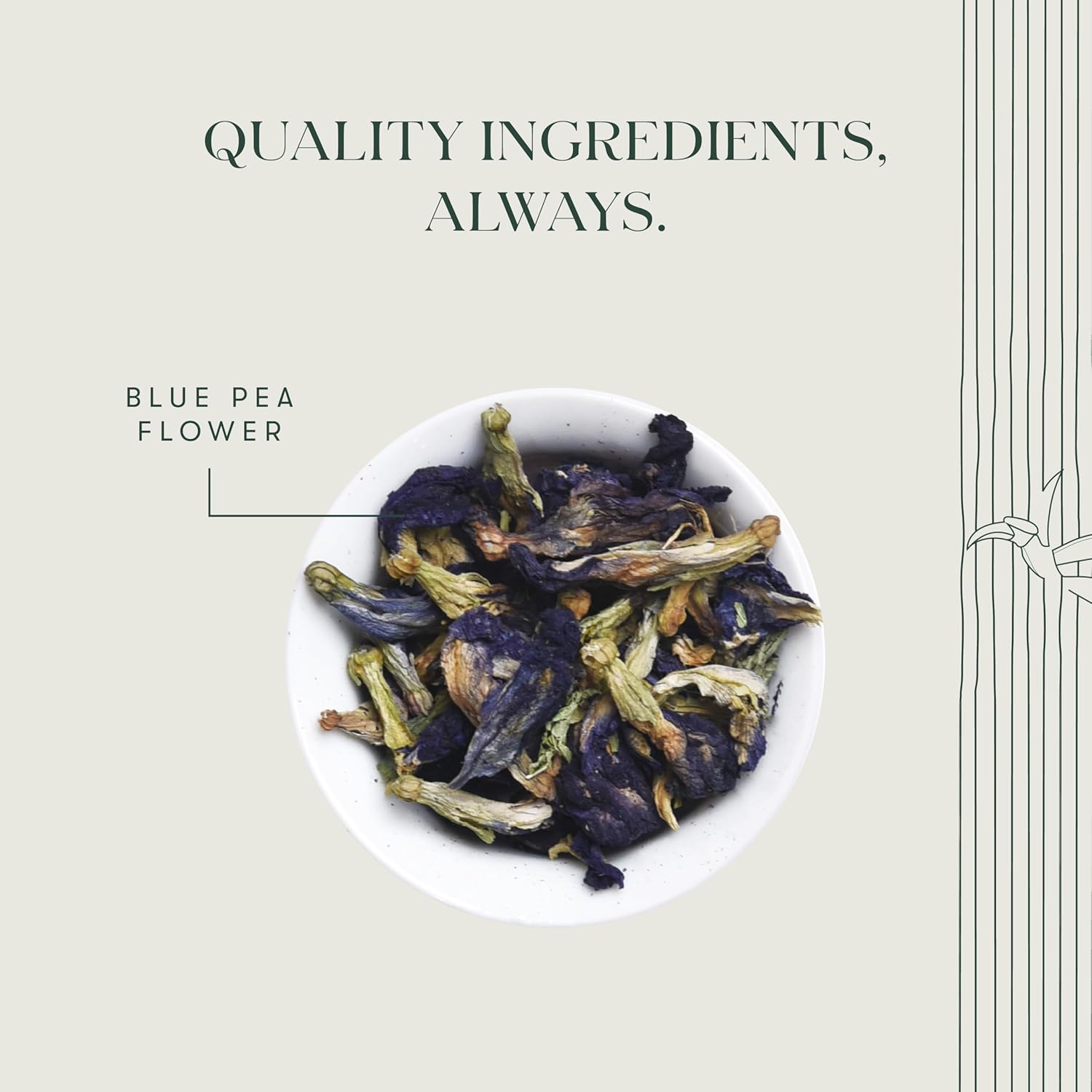 Luxmi Estates Blue Pea Flower Herbal Tea - 25gm Tin, 0.8 Ounce, 25 Cups | USDA Certified Organic Herbal Tea - Stress Buster & Mood Enhancer | Additives Free, Caffeine-Free Herbal Tea