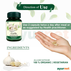 Ayurnet Garlic Capsules Helps To Regulates Cholesterol & Keep Away From Hyper Tension, 100% Organic & Vegetarian | 60 Capsules 100gm 0.2lbs