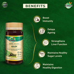 Zandu Giloy Tablets With 100% Pure Giloy Extract, Ayurvedic Immunity Booster, Protects Against Infections, Improves 100% Ayurvedic & Vegetarian | 60 Tablets 100gm 0.2lbs