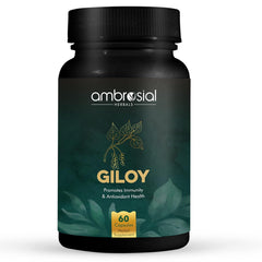 Ambrosial Giloy (Guduchi) High Strength 500mg Natural Giloy Extract Strengths Immune System & Antioxidant Health, Supports Overall Wellness | 60 Capsules 100gm 0.2lbs
