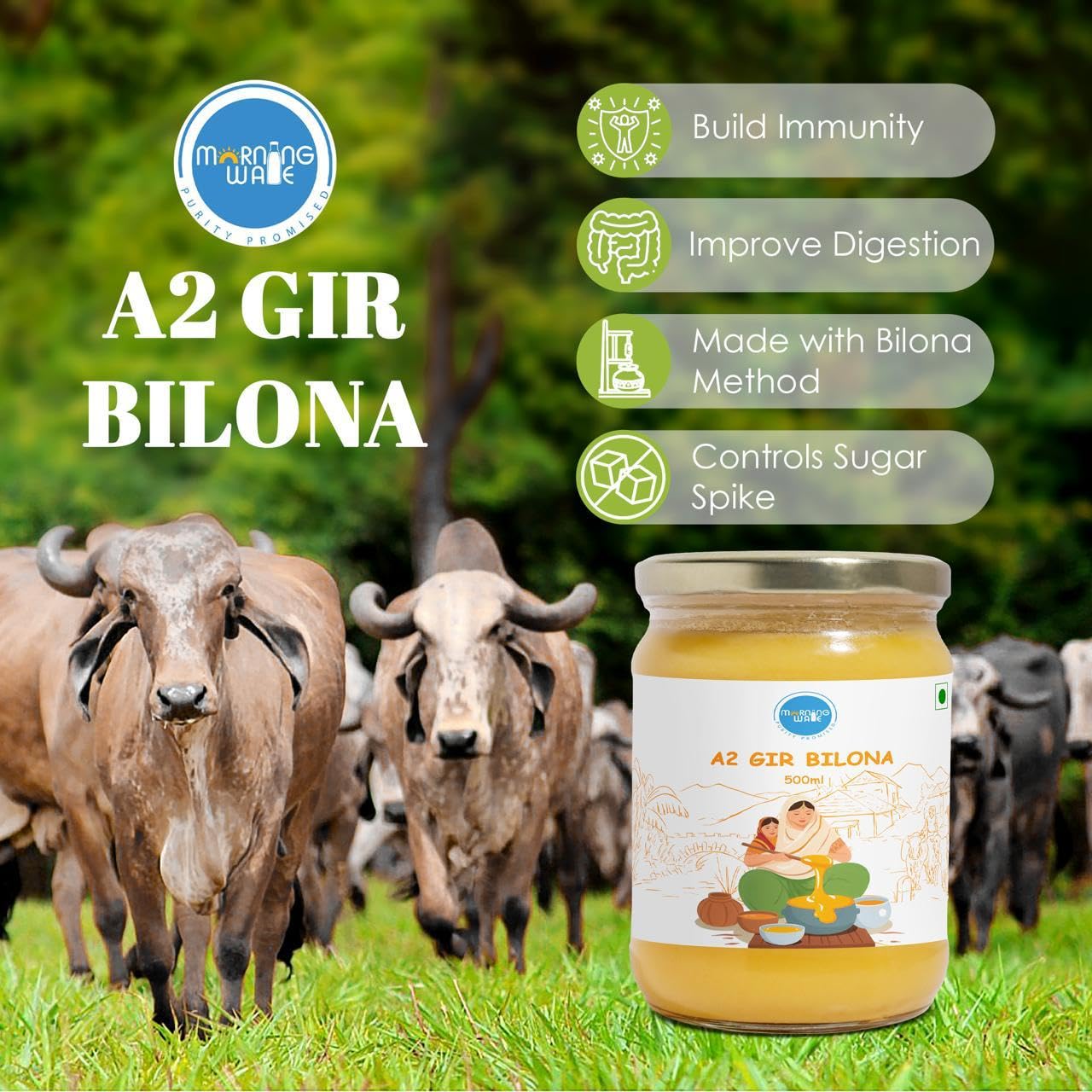 Premium A2 Gir Cow Bilona Ghee By Morning Wale | Vedic Bilona Traditional Curd Churned Desi Cow Ghee Perfect For Boost Immunity | (500ml) 16.9 Ounce | Jar Pack
