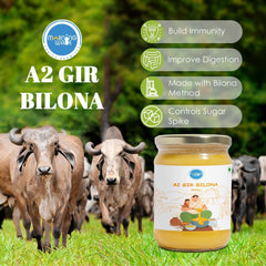 Premium A2 Gir Cow Bilona Ghee By Morning Wale | Vedic Bilona Traditional Curd Churned Desi Cow Ghee Perfect For Boost Immunity | (500ml) 16.9 Ounce | Jar Pack