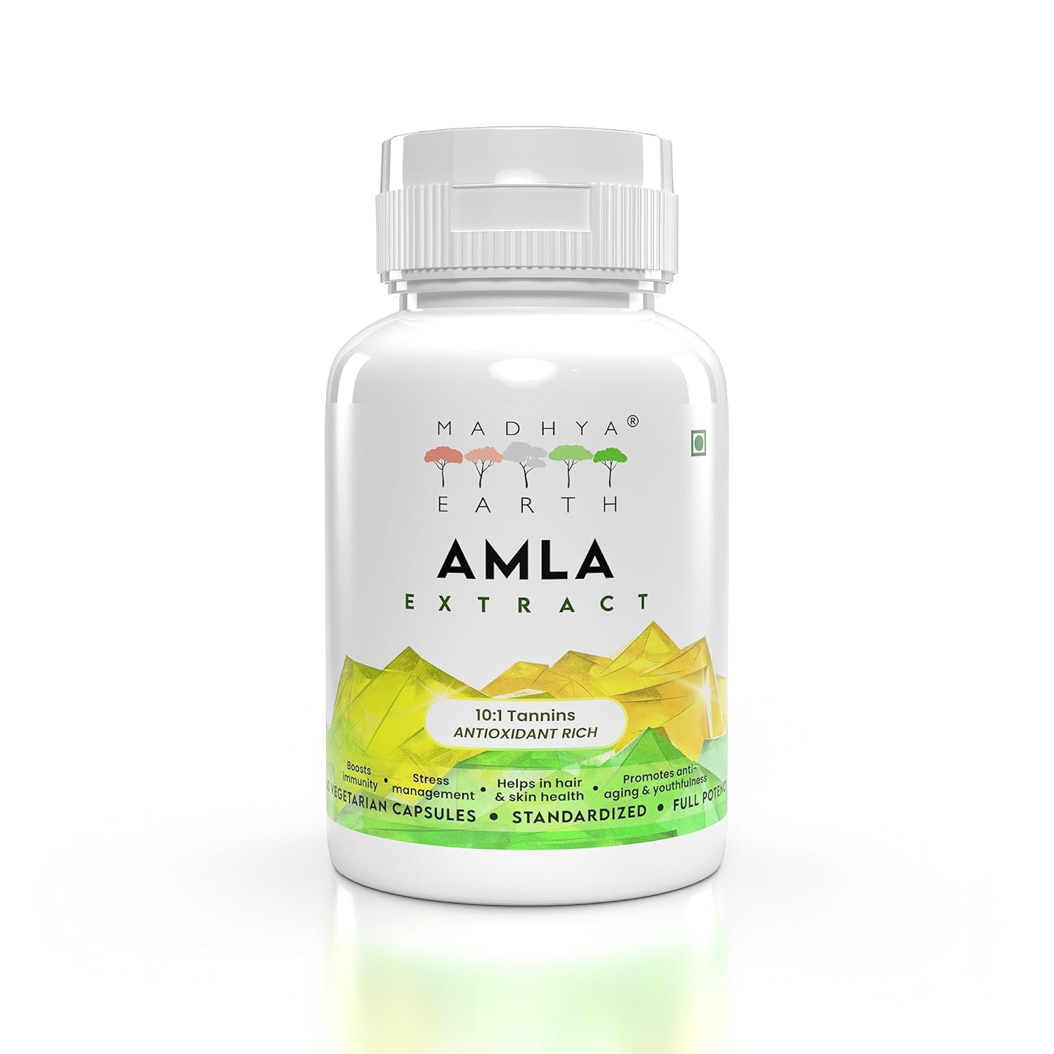 Madhya Earth Amla Extract Veg Capsules 10:1 Tannins Immunity Booster, Natural Vitamin C, Excellent For Hair, Skin & Nails Health 650mg 100% Pure Extract | 60 Veg Capsules 100gm 0.2lbs