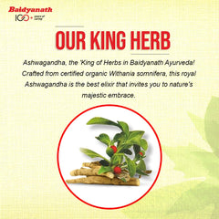 Baidyanath Ashwagandha Churna Helps Boost Strength, Stamina & Energy Stress Relief | Made With 100% Pure Ashwagandha | 100gm 0.2lbs Each Pack Of 2