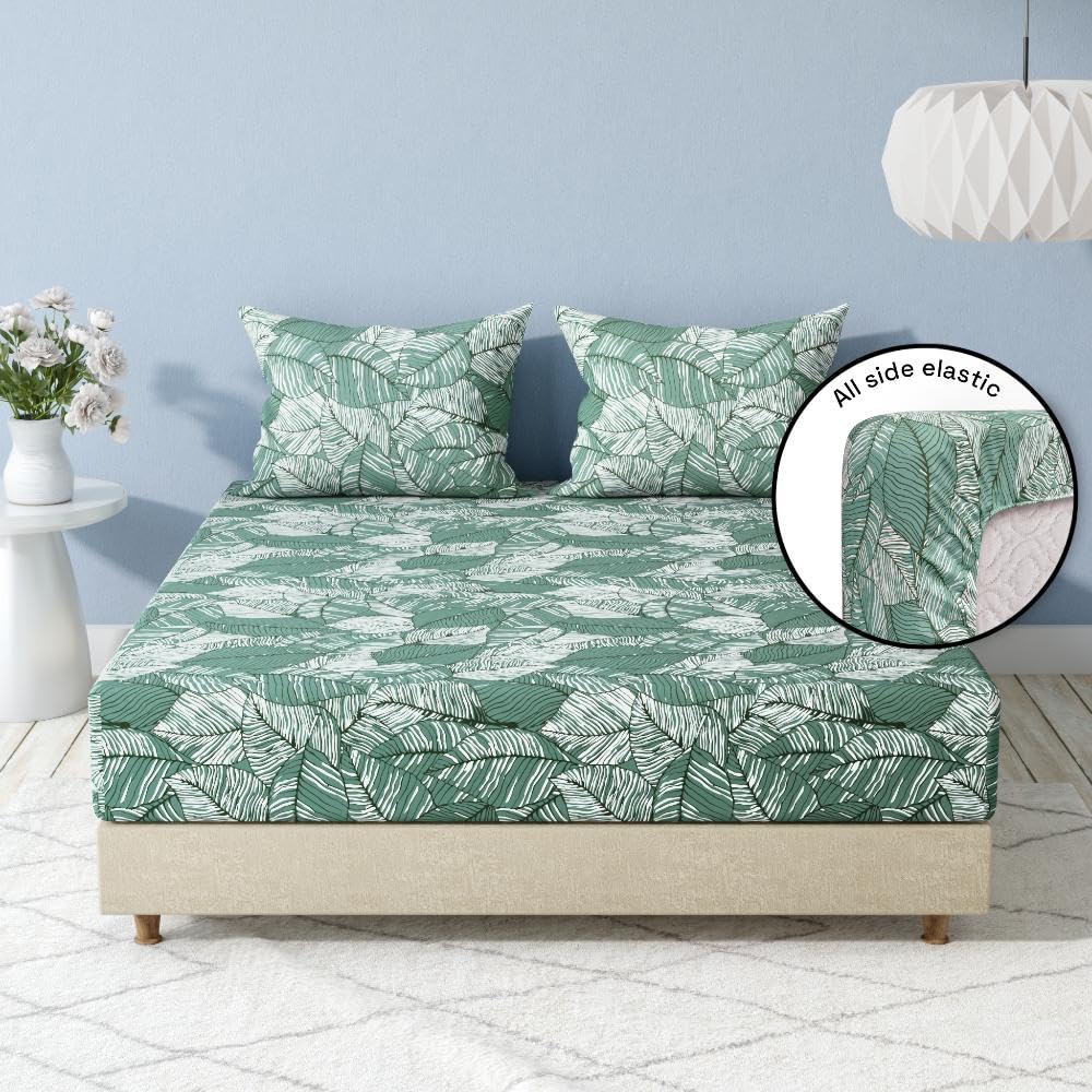 1 Double Bedsheet With 2 Matching Pillow Covers 72 X 48 Inches, Sea Green | 220 Thread Count Durable & Long Lasting | All Around Elastic Fitted Sheet