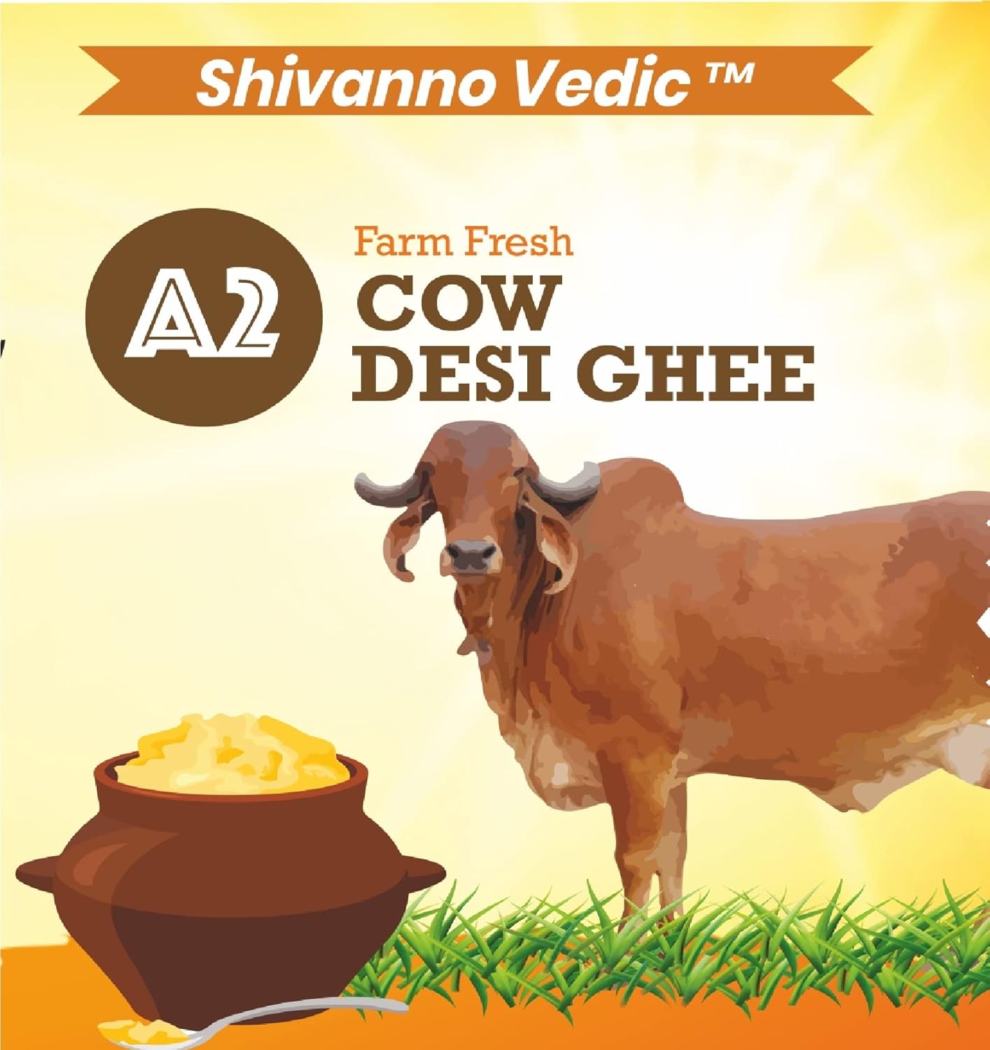 Premium Natural A2 Cow Desi Ghee By Shivanno Vedic | Hand Made Using Traditional Curd Churning Method Indian Desi Cow Ghee | (1 Litre) 33.8 Ounce | Tin Pack
