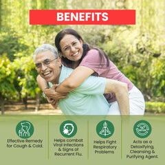 Baidyanath Giloy Tulsi Herbal Juice Helps Boost Immunity & Promotes Good Health, Supports Respiratory Wellness | 1000ml 2.2lbs Each Pack Of 2