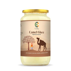 Organic Natural Camel Ghee By Curdley | Great Source Of Energy Healthy & Nutrients Camel Ghee Perfect For Diet | (250ml) 8.4 Ounce | Jar Pack