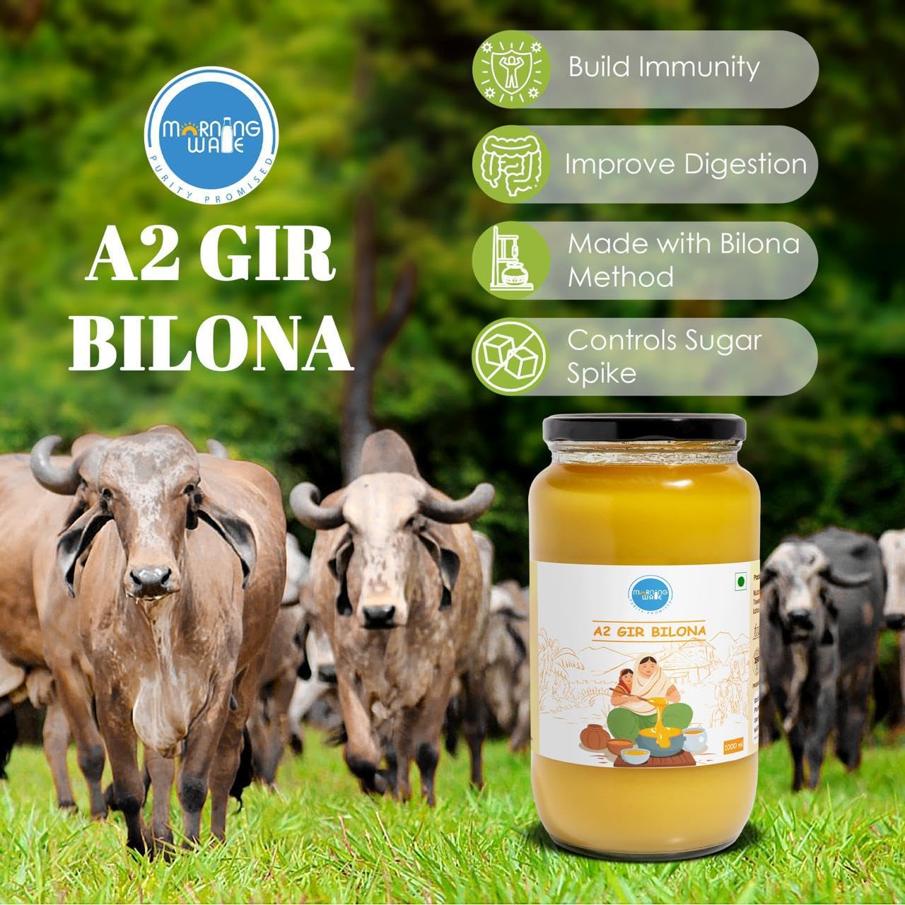 Premium A2 Gir Cow Bilona Ghee By Morning Wale | Vedic Bilona Traditional Curd Churned Desi Cow Ghee Perfect For Bones Health | ( 1 Litre) 33.8 Ounce | Jar Pack