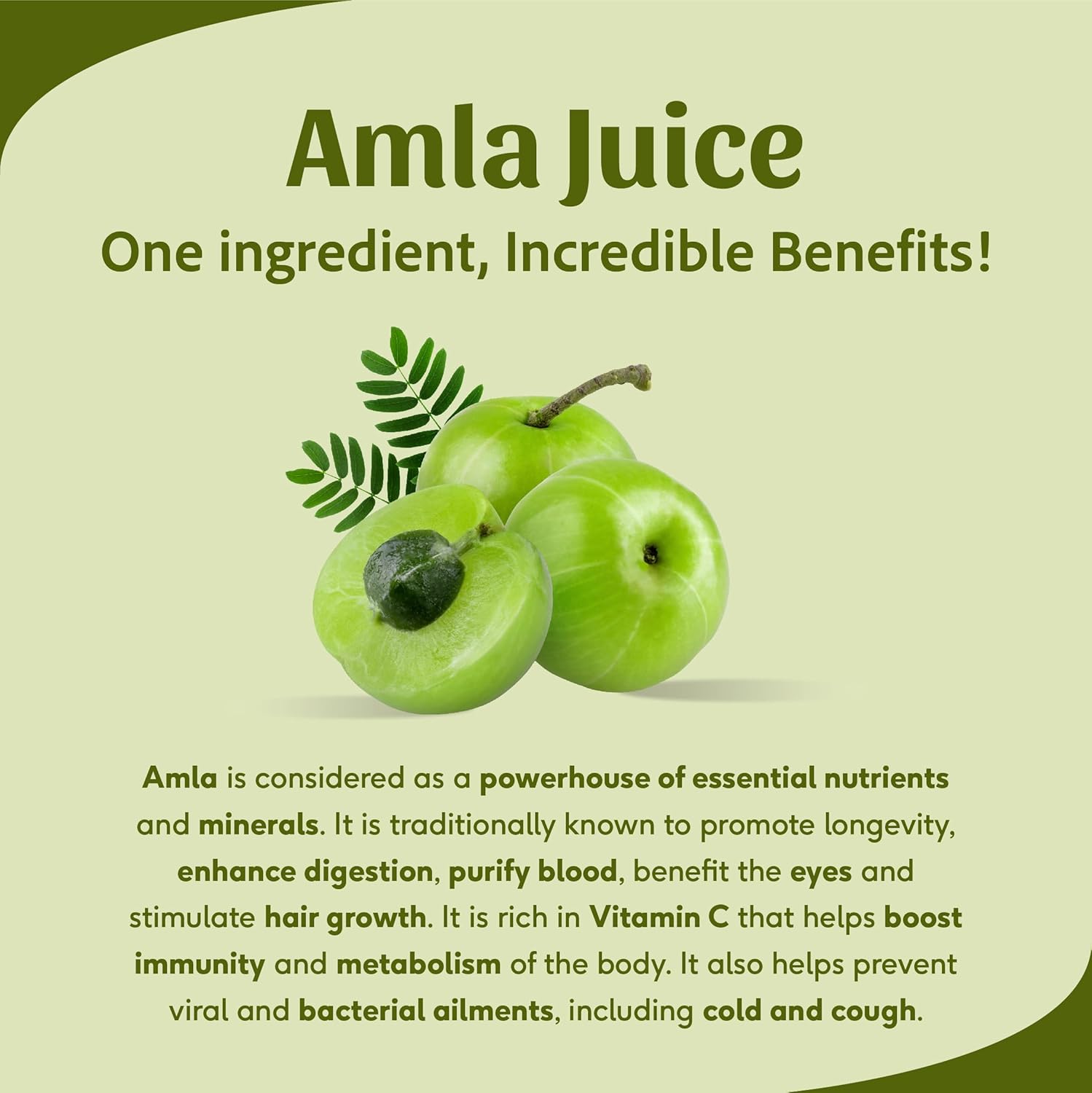 Sri Sri Tattva Shuddhta Ka Naam, Amla Juice Herbal & Pure Rich In Vitamin C, Naturally Boosts Immunity | 1 Litre 2.2lbs
