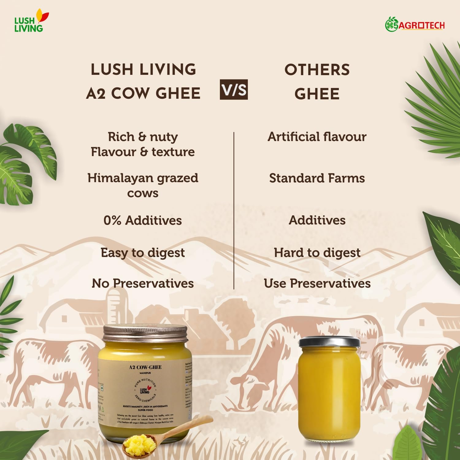 100% Natural A2 Cow Ghee By Lush Living | Rich In Protein Fiber & Delicious Healthy Desi Cow Ghee For Overall Health | 1 Litre (500ml * 2) 33.8 Ounce | Jar Pack
