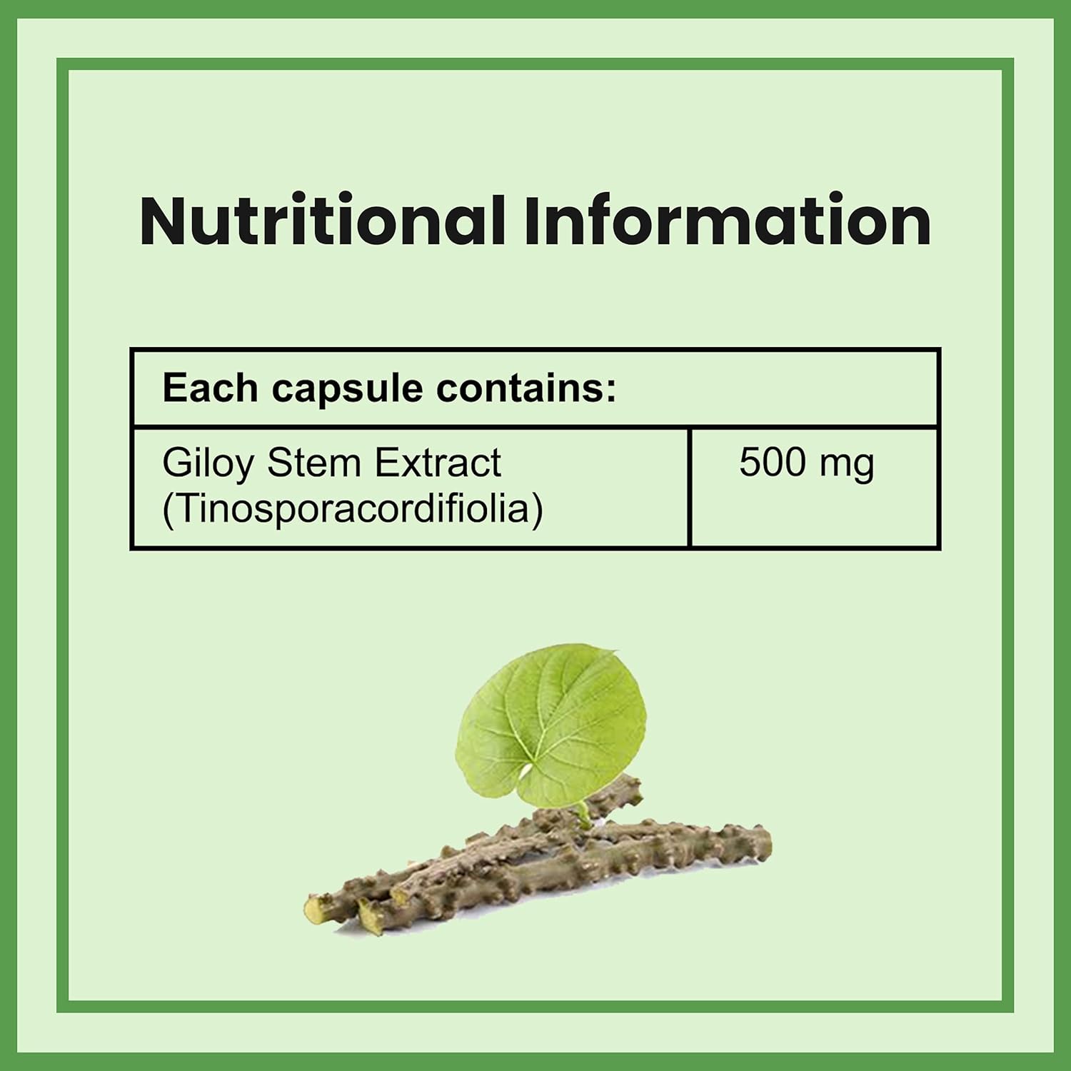 Ambrosial Giloy (Guduchi) High Strength 500mg Natural Giloy Extract Strengths Immune System & Antioxidant Health, Supports Overall Wellness | 60 Capsules 100gm 0.2lbs