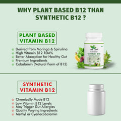 Tab Leaf Plant Based Vitamin B12 For Energy Booster, Immunity Booster | 60 Veg Tablets , 100gm 0.2lbs
