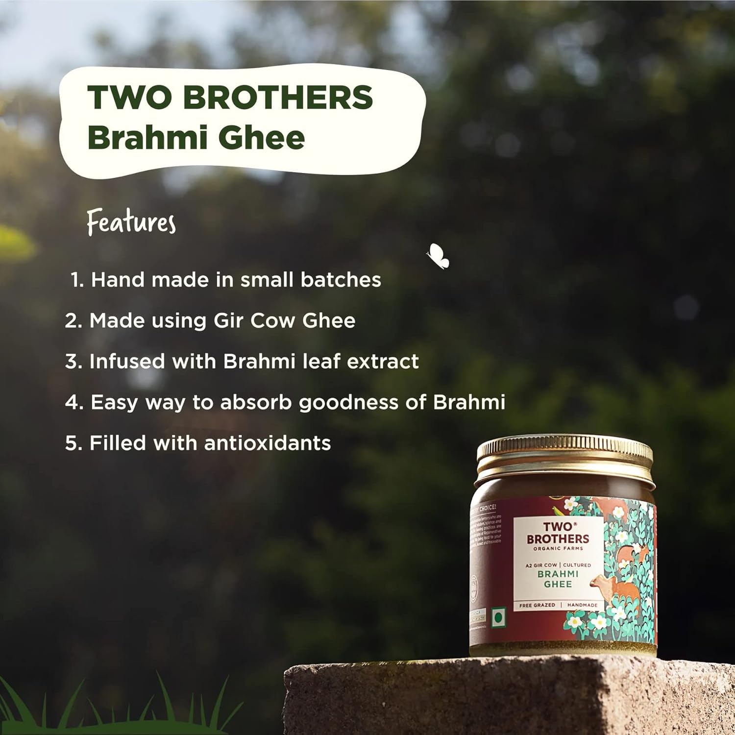 Natural (Brahmi) A2 Gir Cow Cultured Desi Ghee By Two Brothers Organic Farms | Naturally & Healthy Protein Fiber Desi Ghee Good For Weight Loss | (250ml) 8.4 Ounce | Jar Pack