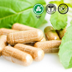 Amrut Kesar Ayurvedic Capsules For Immunity, Stamina, Vitality & Overall Health | 30 Years Old Holistic Formula Of 10 Natural Ayurvedic Herbs | 60 Capsules , 100gm 0.2lbs