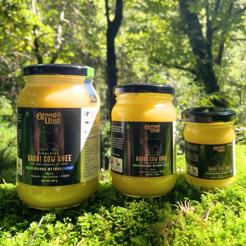 Premium Himalayan Organic Badri Cow Ghee By Orang Utan | Naturally Nourishing & Moisturising Bilona Method Healthy Cow Ghee | (300ml) 10.1 Ounce | Jar Pack
