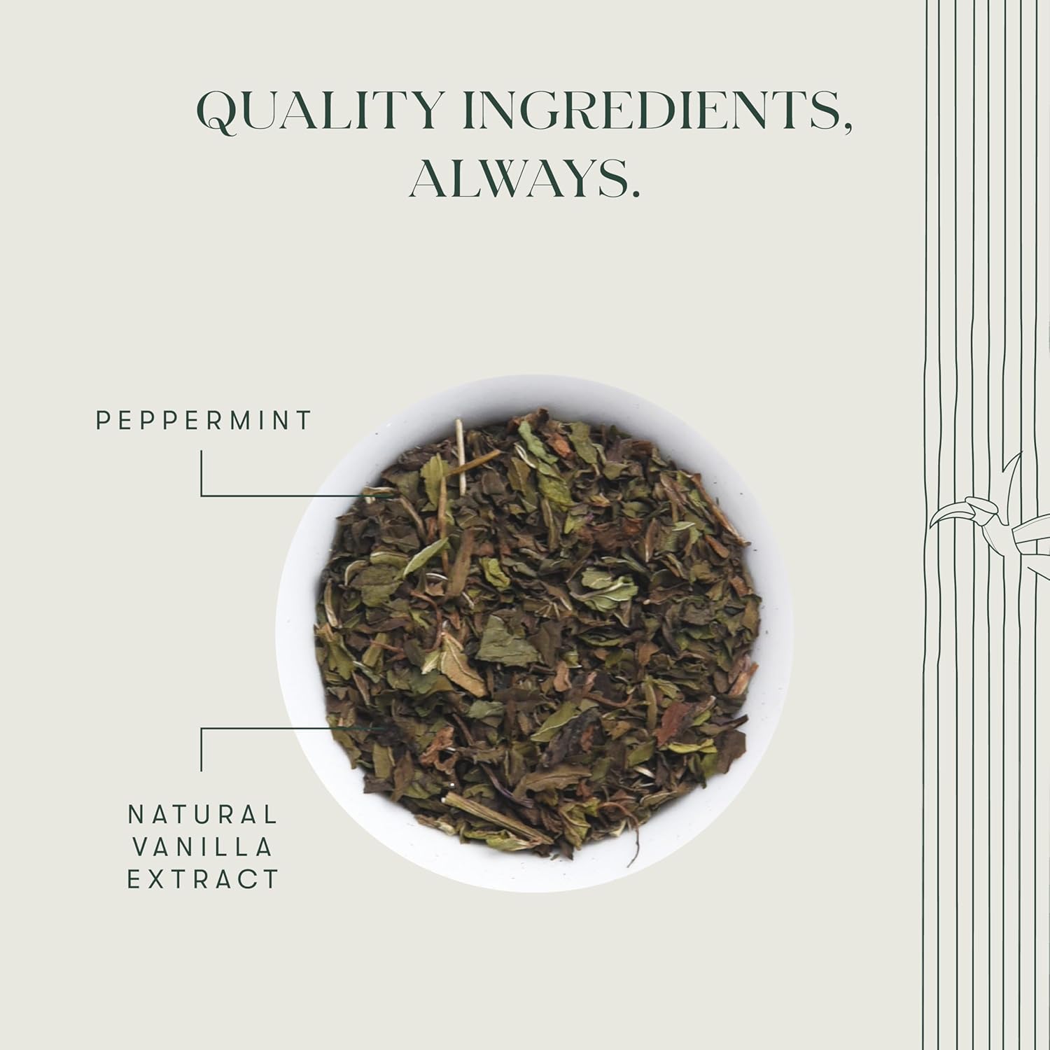 Luxmi Estates Vanilla Peppermint Herbal Tea - 25gm, 0.8 Ounce, 12 Cups | USDA Certified Organic Herbal Tea - Gluten Free, Caffeine Free Tea Bags