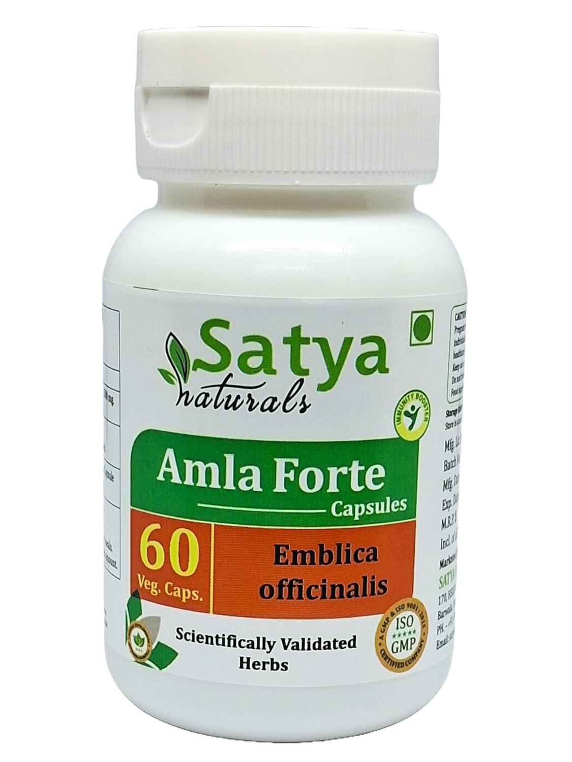 Satya Naturals Emblica Officinalis Amla, Amalaki Extract Capsules Highest Potency, 100% Herbal Product | 500mg 60 Veg Capsules 100gm 0.2lbs