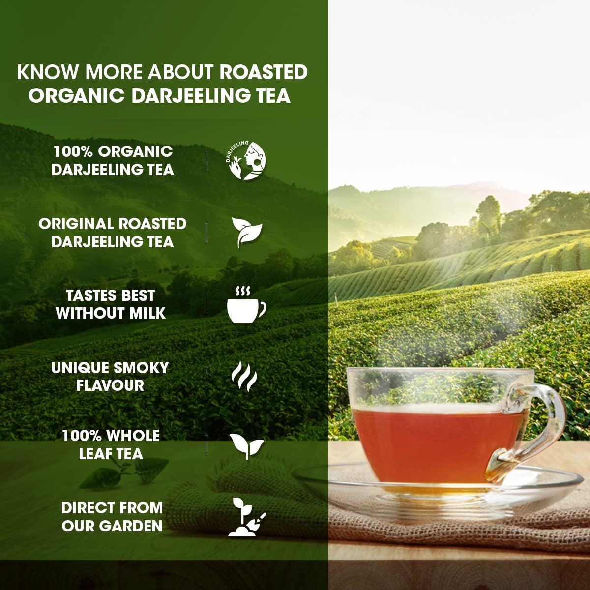 Goodricke Roasted Darjeeling Tea 250gm Jar, 8.8 Ounce - Flavoury Golden Orange Pekoe | Premium Black Loose Leaves Tea With Rich Taste & Flavor - 100% Pure & Original Long Leaf Chai | Low Caffeine