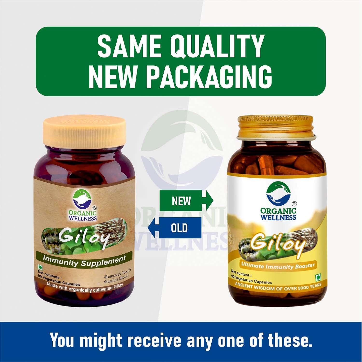 Organic Wellness Giloy Capsules, Natural Giloy, Antioxidant Properties, Purifies Blood Supplement, Immunity Booster, Health & Wellness | 90 Veg Capsules 150gm 0.3lbs