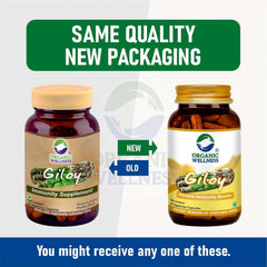 Organic Wellness Giloy Capsules, Natural Giloy, Antioxidant Properties, Purifies Blood Supplement, Immunity Booster, Health & Wellness | 90 Veg Capsules 150gm 0.3lbs