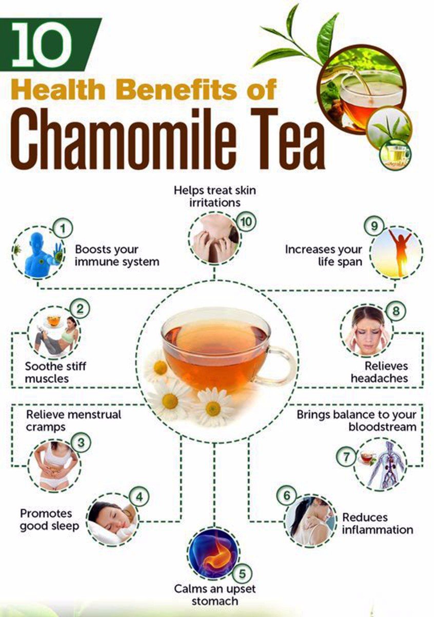 The Indian Chai Organic Chamomile Flower Tea - 250gm, 8.8 Ounce | Helps With Sleep & Improves Sleep Quality - Caffeine Free | Soothes Skin Irritations