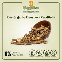 Dayakishan Dry Giloy Stem, Raw Giloi, Cleaned Geeloh, Graded Guduchi, Amrita - Amruta, Whole Tinospora Cordifolia, Giloyvatti, Immunity Booster | 100gm 0.2lbs