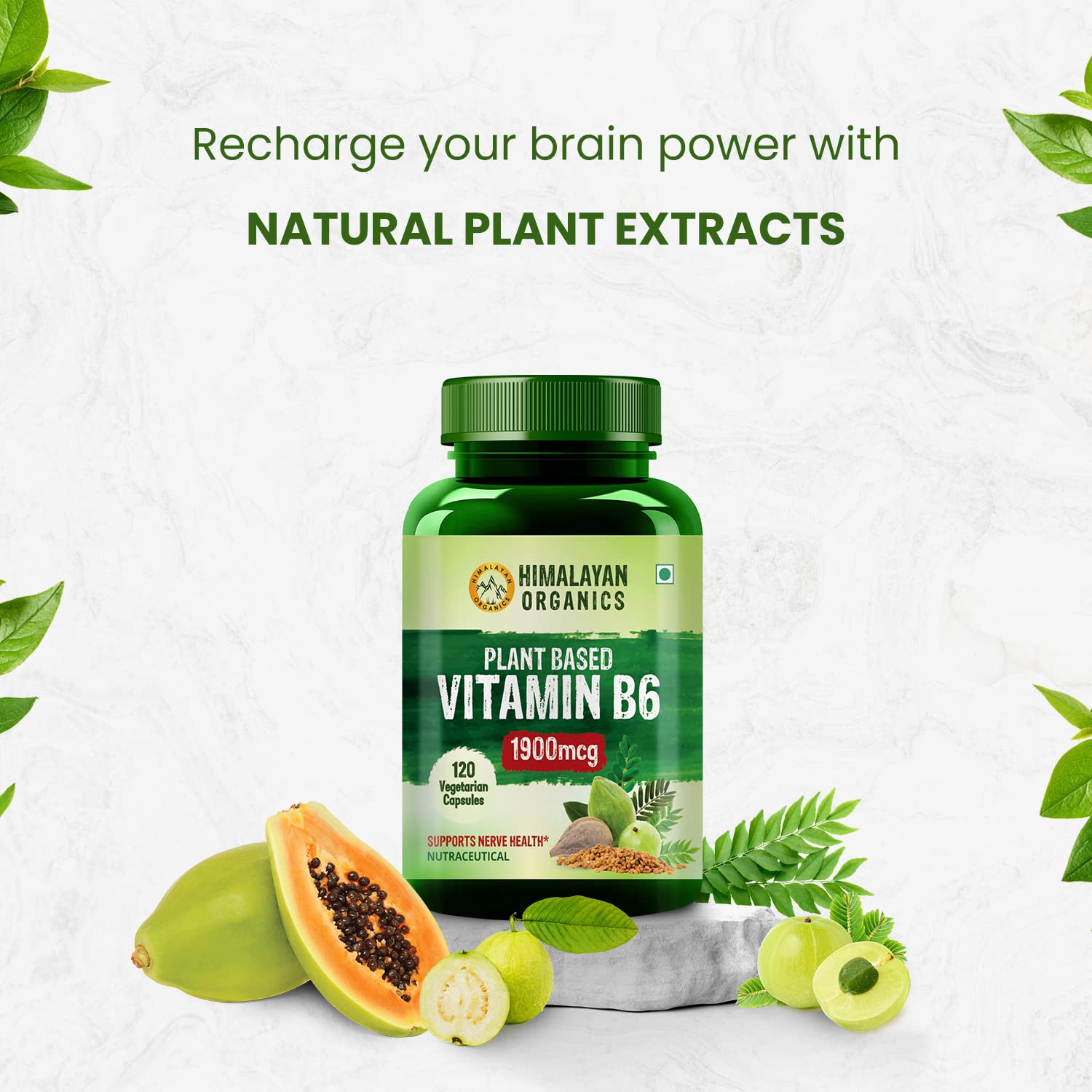 Himalayan Organics Plant - Based Vitamin B6 | Supports Immunity, Brain Health | 120 Capsules , 200gm 0.4lbs
