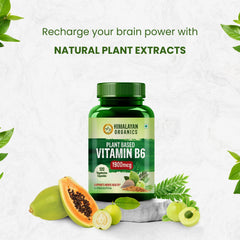 Himalayan Organics Plant - Based Vitamin B6 | Supports Immunity, Brain Health | 120 Capsules , 200gm 0.4lbs